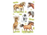 Matrica HERMA Decor No.03307,