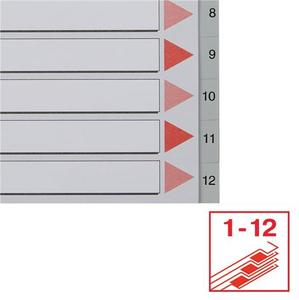 Elválasztó A4, 1-12, ESSELTE műanyag, sorszámozott, szürke