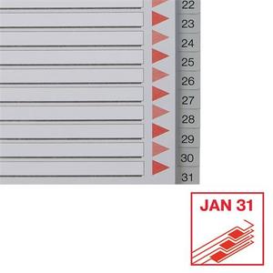 Elválasztó A4, 1-31, ESSELTE műanyag, sorszámozott, szürke