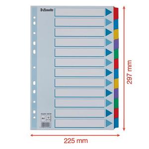 Elválasztó A4, 12 lap, ESSELTE Mylar, karton, laminált, színes fülekkel