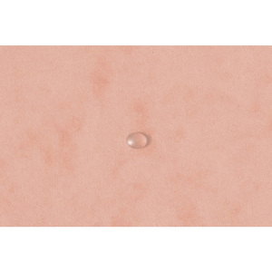 Gumis mappa A4, EXACOMPTA, prespán karton, sarokgumis, korall