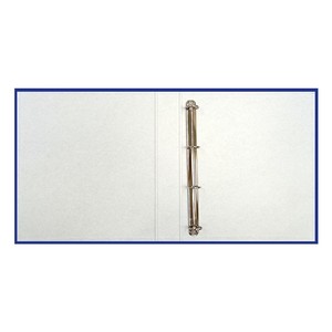 Gyűrűsk&ouml;nyv A4, 4gyűrűs, 55mm, PP/karton, k&eacute;k