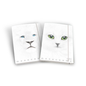 Gyűrűsk&ouml;nyv A4, 4gyűrűs, 40mm, PIGNA Monocromo White, 4 f&eacute;le mint&aacute;val