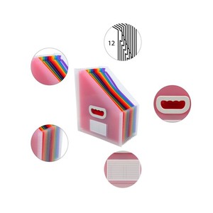 Iratpapucs A4, PP, EXACOMPTA Crystal, 26,5x32,5cm, harmonika