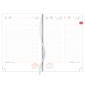 Agenda A5, napi, DAYLINER Pannon, világoszöld