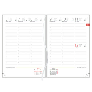 Agenda A5, heti, DAYLINER Colors, Stripes