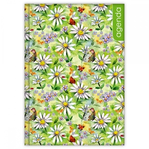 Agenda A5, heti, DAYLINER Colors, Nature zöld