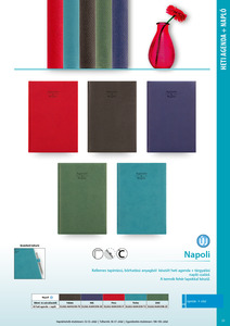 Agenda A5, heti, DAYLINER Napoli, + tárgyalási napló, türkiz
