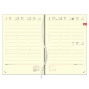 Agenda B5, heti, DAYLINER Rebel, krém színű lapokkal, bézs