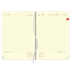 Agenda A5, napi, DAYLINER Sherwood, krém lapokkal, fekete