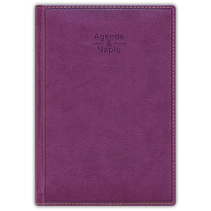 Agenda A5, heti, DAYLINER Sherwood, + tárgyalási napló, lila