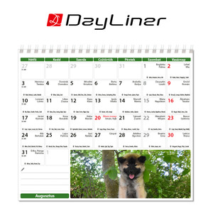 Asztali naptár, KUTYÁK, álló, spirálos, 15x13 cm, 13 kép