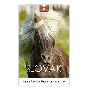 Falinaptár Lovak B4, álló, 23x33 cm, spirálos, 14 lap, képes