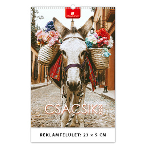 Falinaptár Csacsik B4, álló, 23x33 cm, spirálos, 14 lap, képes