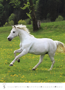 Falinaptár 