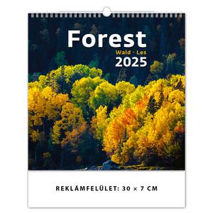 Falinaptár DAYLINER Forest, 30x30 cm, spirálozott, 14 lap, álló