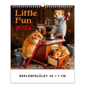 Falinaptár DAYLINER Little Fun 30x30 cm, spirálozott, 14 lap, álló