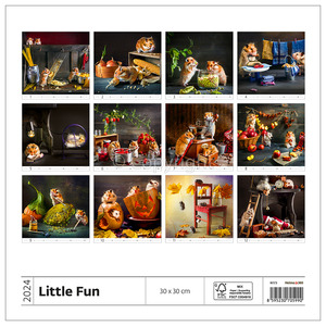 Falinaptár DAYLINER Little Fun 30x30 cm, spirálozott, 14 lap, álló