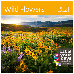 Falinaptár 30x30/30x60cm, álló Wild Flowers LP, spirálozos, 14 lap,
