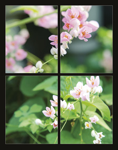 Falinaptár 315x450 mm, álló, Flowers, spirálos, 14 lap, képes