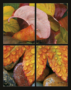 Falinaptár 315x450 mm, álló, Flowers, spirálos, 14 lap, képes