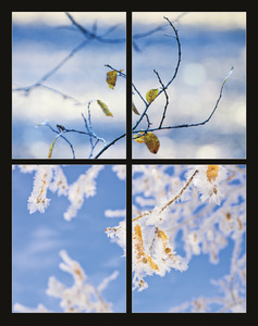 Falinaptár 315x450 mm, álló, Flowers, spirálos, 14 lap, képes