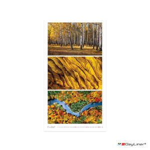 Falinapt&aacute;r 330x600mm, DAYLINER Colours