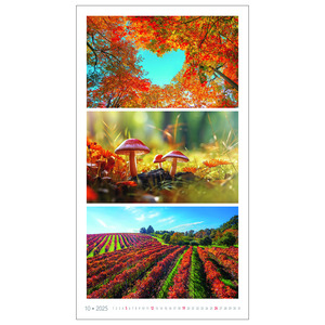 Falinaptár COLOURS, 330X600 mm, spirálos, 14 lap, képes
