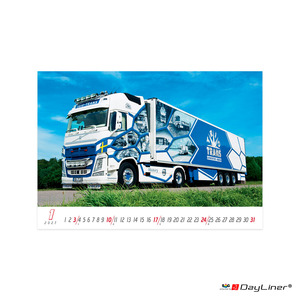 Falinapt&aacute;r 450x315mm, DAYLINER Trucks 2027.