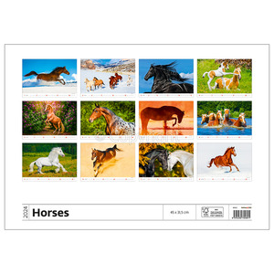 Falinaptár HORSES, fekvő, 450x315 mm, spirálos, 14 lap, képes