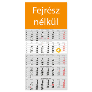 Speditőr naptár 1 tömb, 5 havi DAYLINER, Fejrész nélkül