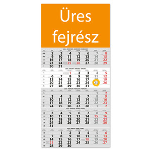 Speditőr naptár 1 tömb, 5 havi DAYLINER, Fejrész üres