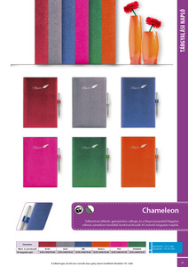 Tárgyalás napló A5, CHAMELEON, nem évszámos, bordó
