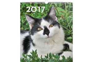 Falinaptár Cats 30x34cm REALSYSTEM 6087-CA képes, ikerspirálos