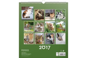 Falinaptár Cats 30x34cm REALSYSTEM 6087-CA képes, ikerspirálos