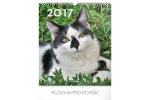 Falinaptár Cats 30x34cm REALSYSTEM 6087-CA képes, ikerspirálos