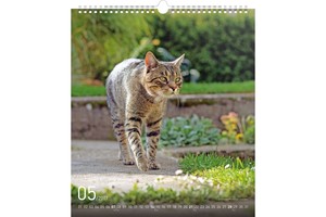 Falinaptár Cats 30x34cm REALSYSTEM 6087-CA képes, ikerspirálos