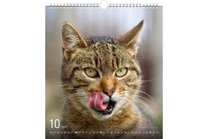 Falinaptár Cats 30x34cm REALSYSTEM 6087-CA képes, ikerspirálos