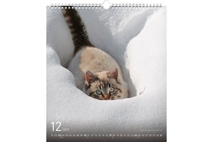 Falinaptár Cats 30x34cm REALSYSTEM 6087-CA képes, ikerspirálos