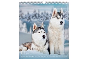 Falinaptár Dogs 30x34cm REALSYSTEM 6087-DO képes, ikerspirálos