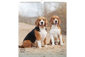 Falinaptár Dogs 30x34cm REALSYSTEM 6087-DO képes, ikerspirálos