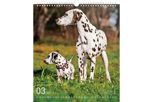 Falinaptár Dogs 30x34cm REALSYSTEM 6087-DO képes, ikerspirálos