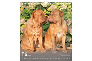 Falinaptár Dogs 30x34cm REALSYSTEM 6087-DO képes, ikerspirálos