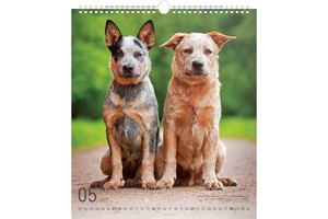 Falinaptár Dogs 30x34cm REALSYSTEM 6087-DO képes, ikerspirálos