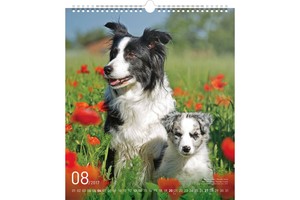 Falinaptár Dogs 30x34cm REALSYSTEM 6087-DO képes, ikerspirálos