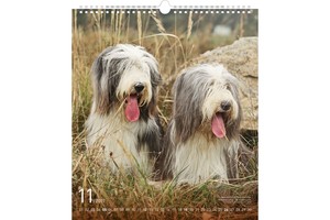Falinaptár Dogs 30x34cm REALSYSTEM 6087-DO képes, ikerspirálos