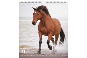 Falinaptár Horse 30x34cm REALSYSTEM 6087-HO képes, ikerspirálos