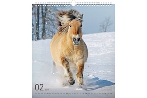 Falinaptár Horse 30x34cm REALSYSTEM 6087-HO képes, ikerspirálos