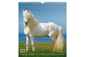 Falinaptár Horse 30x34cm REALSYSTEM 6087-HO képes, ikerspirálos