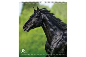 Falinaptár Horse 30x34cm REALSYSTEM 6087-HO képes, ikerspirálos